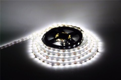 SMD5050-300LED-W-12V LUX