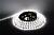 SMD5050-300LED-W-12V LUX