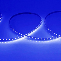 SMD2835-600LED-B-24V