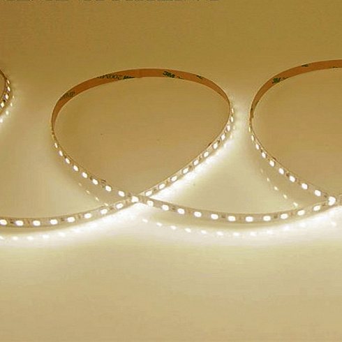 SMD2835-600LED-WW-24V